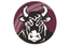 Queensland Bulls