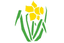 Glamorgan Men
